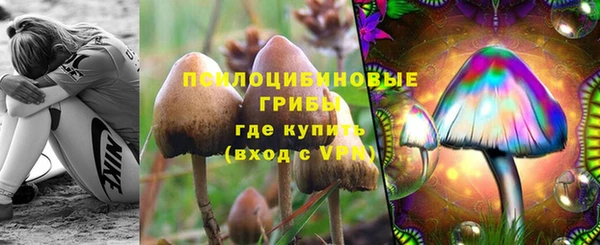 MESCALINE Белокуриха